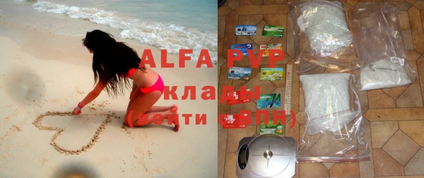 бошки Богданович