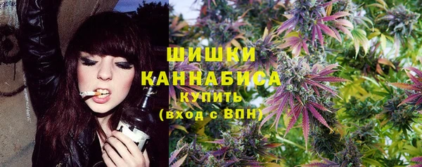 бошки Богданович