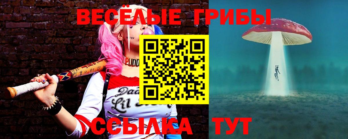 Псилоцибиновые грибы GOLDEN TEACHER Надым