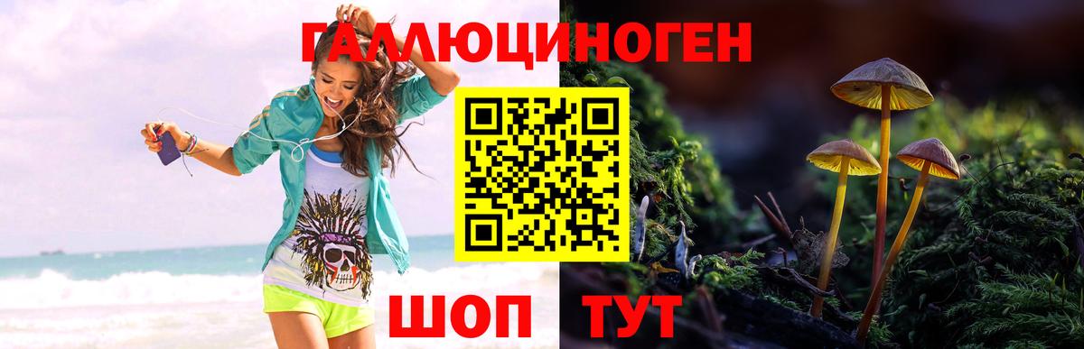 Надым  Псилоцибиновые грибы GOLDEN TEACHER  Вход с VPN 